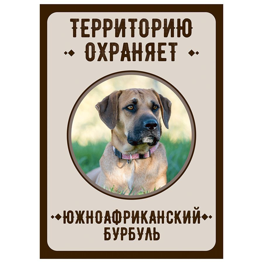 Табличка, Злая собака, Территорию охраняет Южноафриканский бурбуль, на металлической основе, 18см х 25 #1