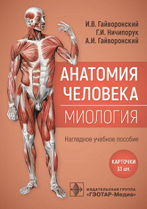 Карточки Анатомия человека. Миология. Наглядное учебное пособие про мышцы и мышечную систему тела для #1