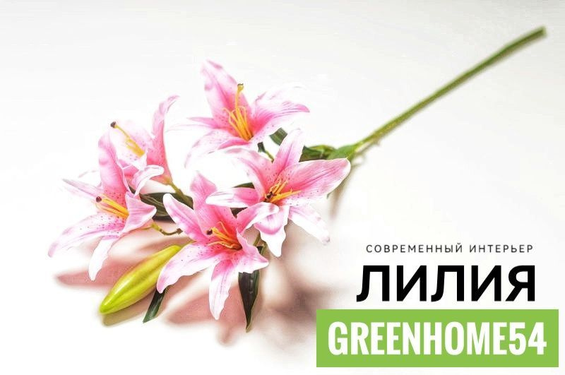 GreenHome54 Ветка, шишка декоративная,1шт #1