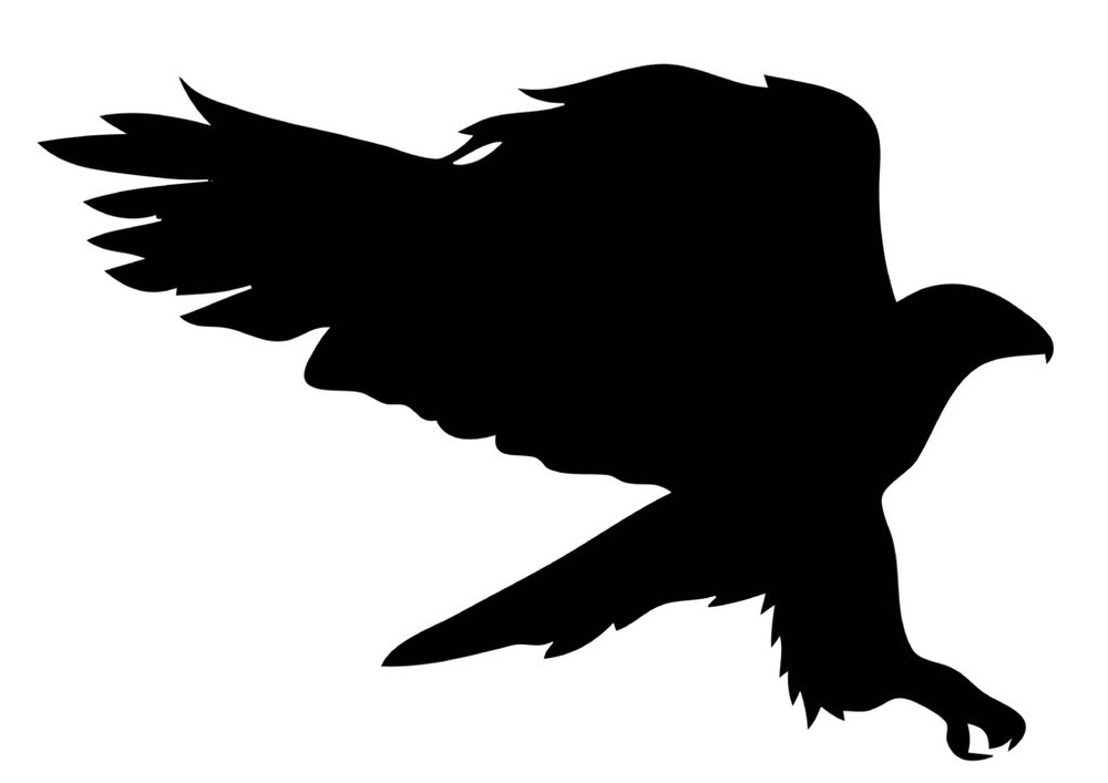 Защита стеклянных дверей и окон от птиц: наклейки (21 x 30) см - V19 ...