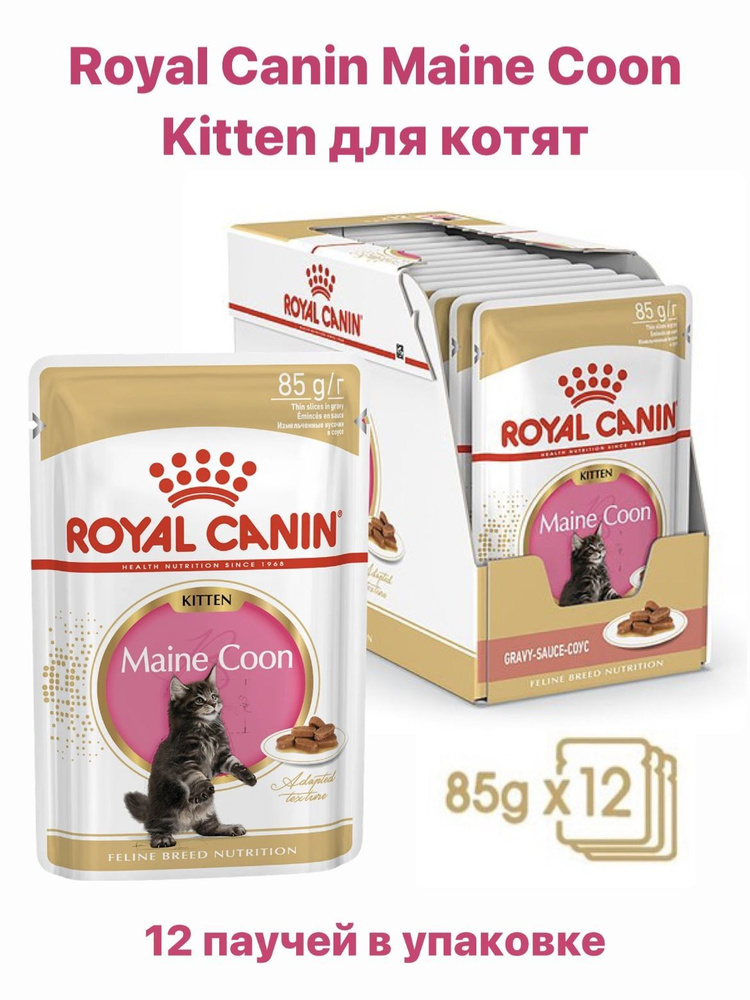 ROYAL CANIN Maine Coon Kitten влажный корм для котят, 85 г х 12 штук #1