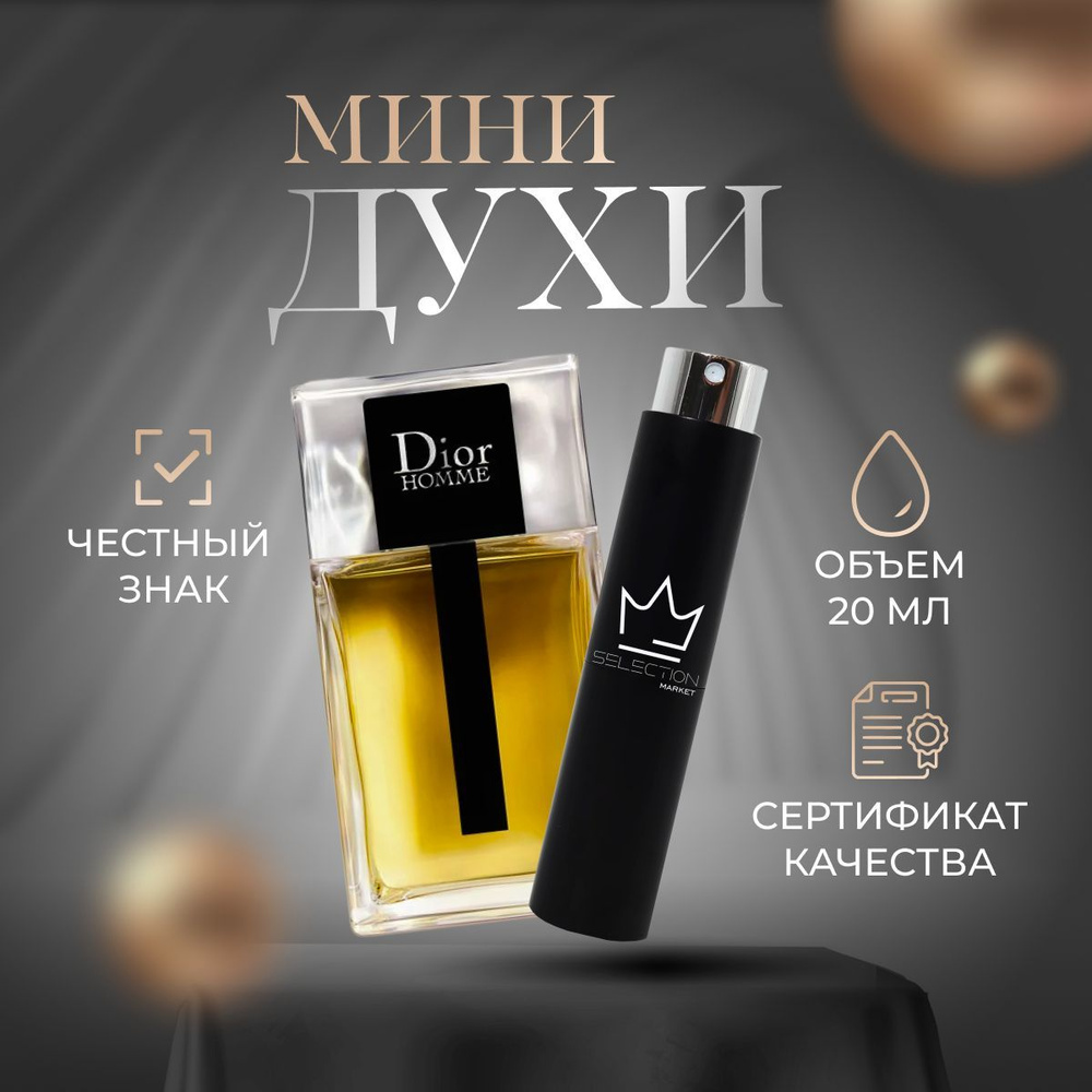 CD CHRISTIAN DIOR PARIS Christian Dior Dior Homme 100 20 OZON 1077763924