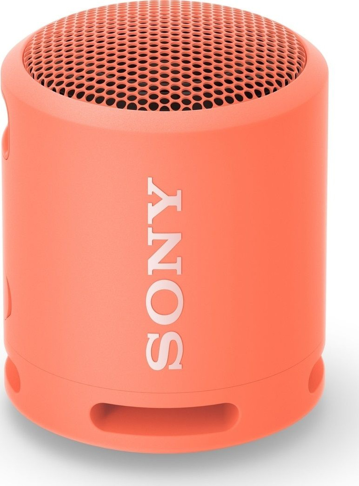 Портативная колонка Sony SRS-XB13 #1