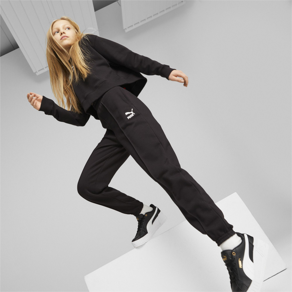 Брюки спортивные PUMA Classics Sweatpants #1