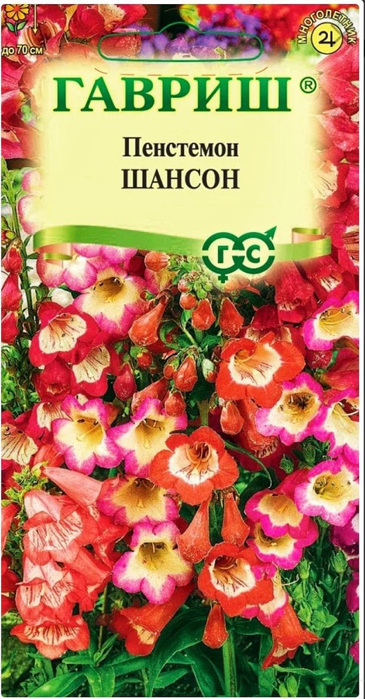 Пенстемон Хартвига Шансон (наперстянковый), 1 пакет, семена 0,1 гр, Гавриш  #1