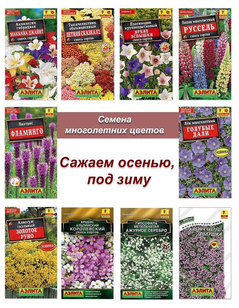 Семена многолетников, набор семян многолетних цветов #1