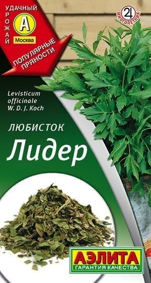 ЛЮБИСТОК Лидер. Семена. Вес 0,3 гр. Популярный многолетник. Аэлита  #1