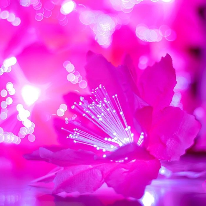 Risalux Декоративная подсветка "Малопа" 20хLED 4000К 5м розовый 500х14х14см  #1