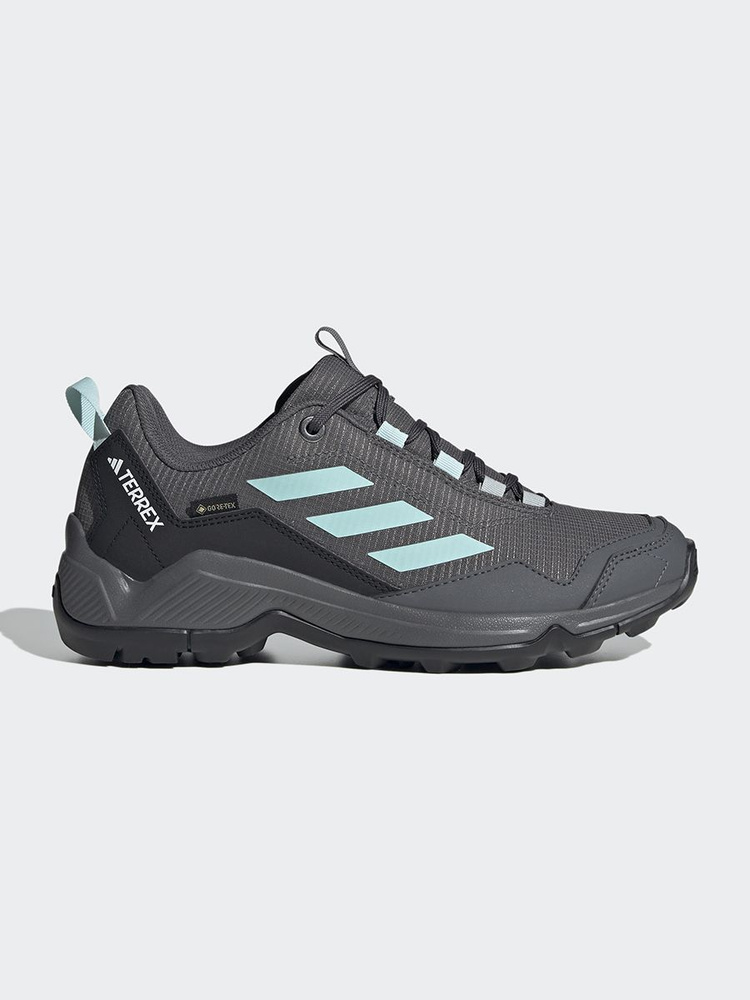 Кроссовки adidas Terrex Eastrail Gtx W #1