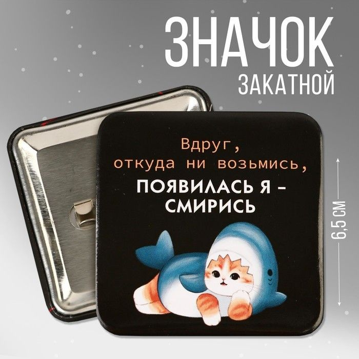 Значок закатной Смирись , 6,5 х 6,5 см #1