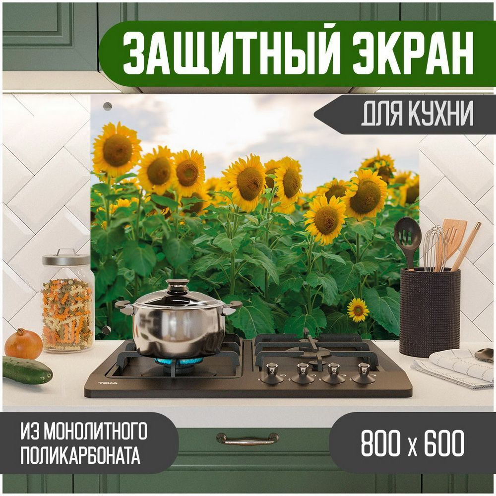 Фартук для кухни на стену, кухонный фартук, панель на кухню с фотопечатью из поликарбоната. Стеновые #1