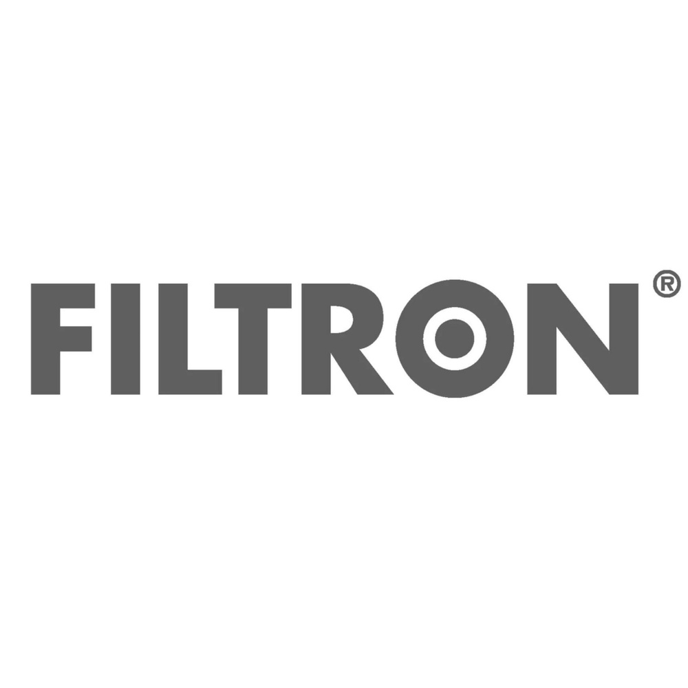 AP029/1 FILTRON Фильтр воздушный #1