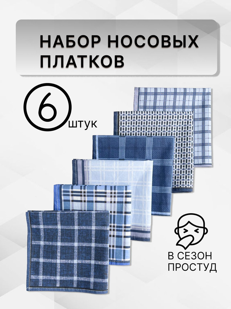 Носовые платки мужские набор 6 шт хлопок синий (клетка) MaturKibet  #1
