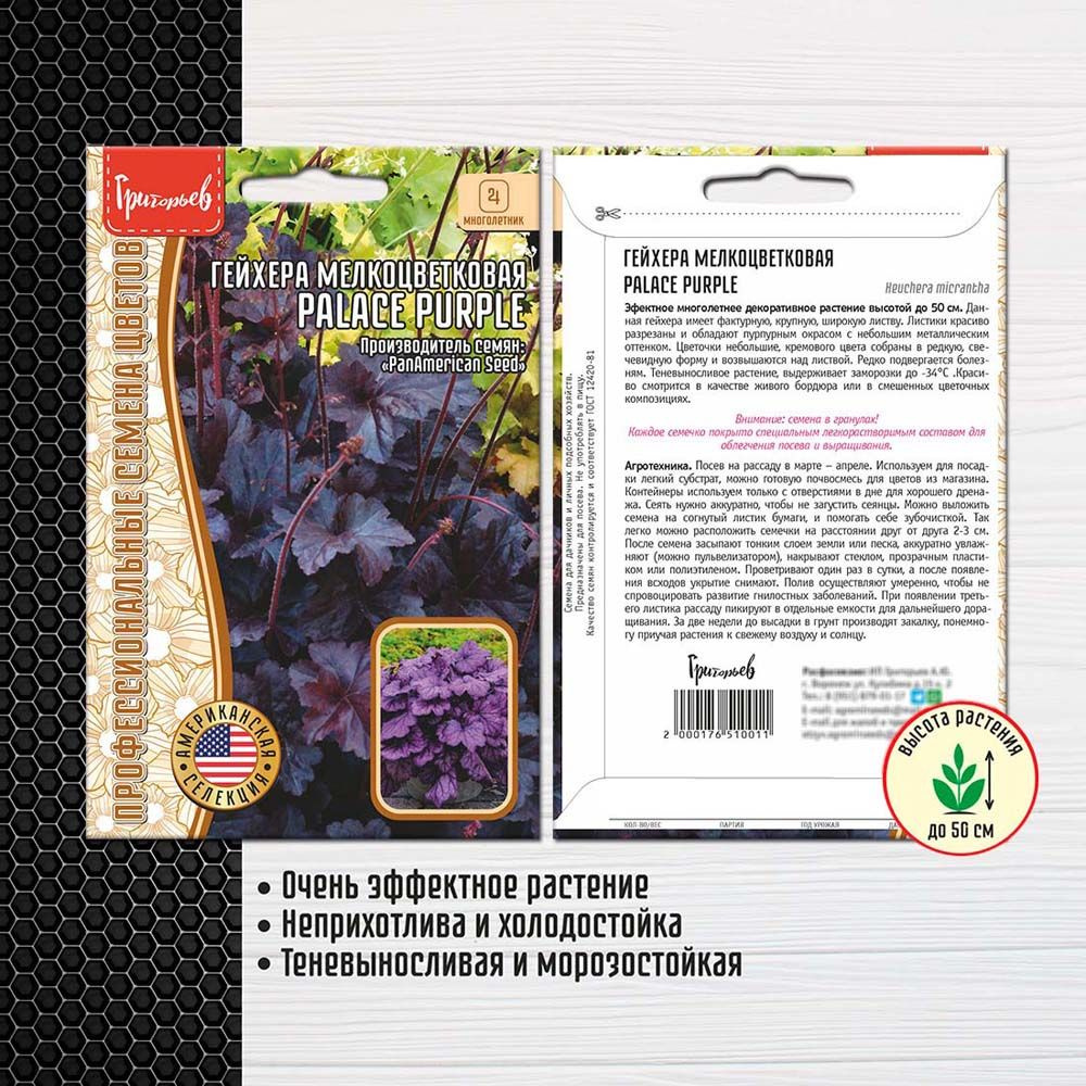 Семена Гейхера Palace Purple мелкоцветковая PanAm 10шт. #1
