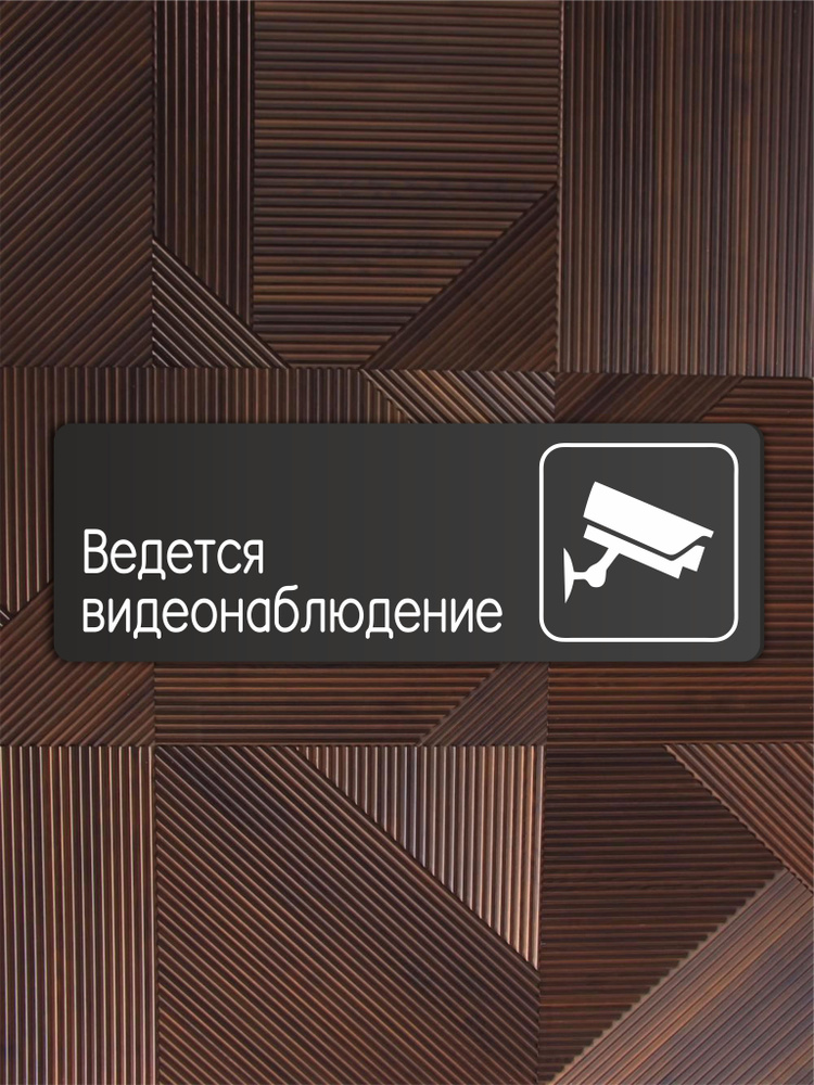 Табличка Ведется видеонаблюдение в офис, в школу, в библиотеку, в гос. учреждения 30х10см с двусторонним #1