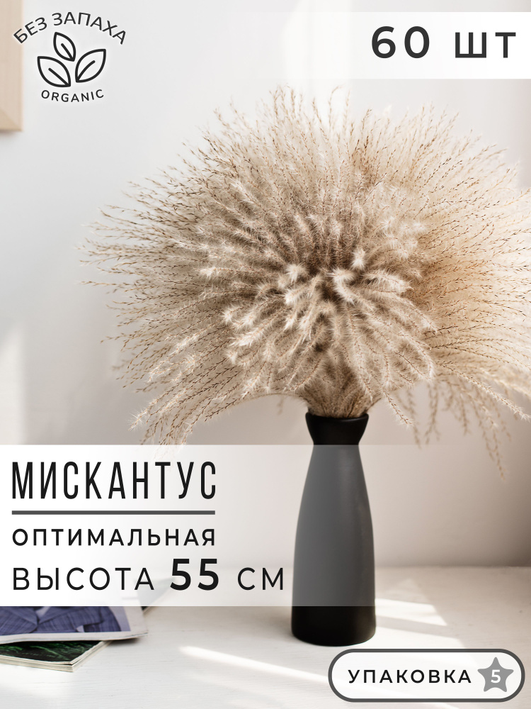 ARANTA Букет из сухоцветов Пампасная трава Мискантус, 55, см, 230, гр, 60 шт  #1