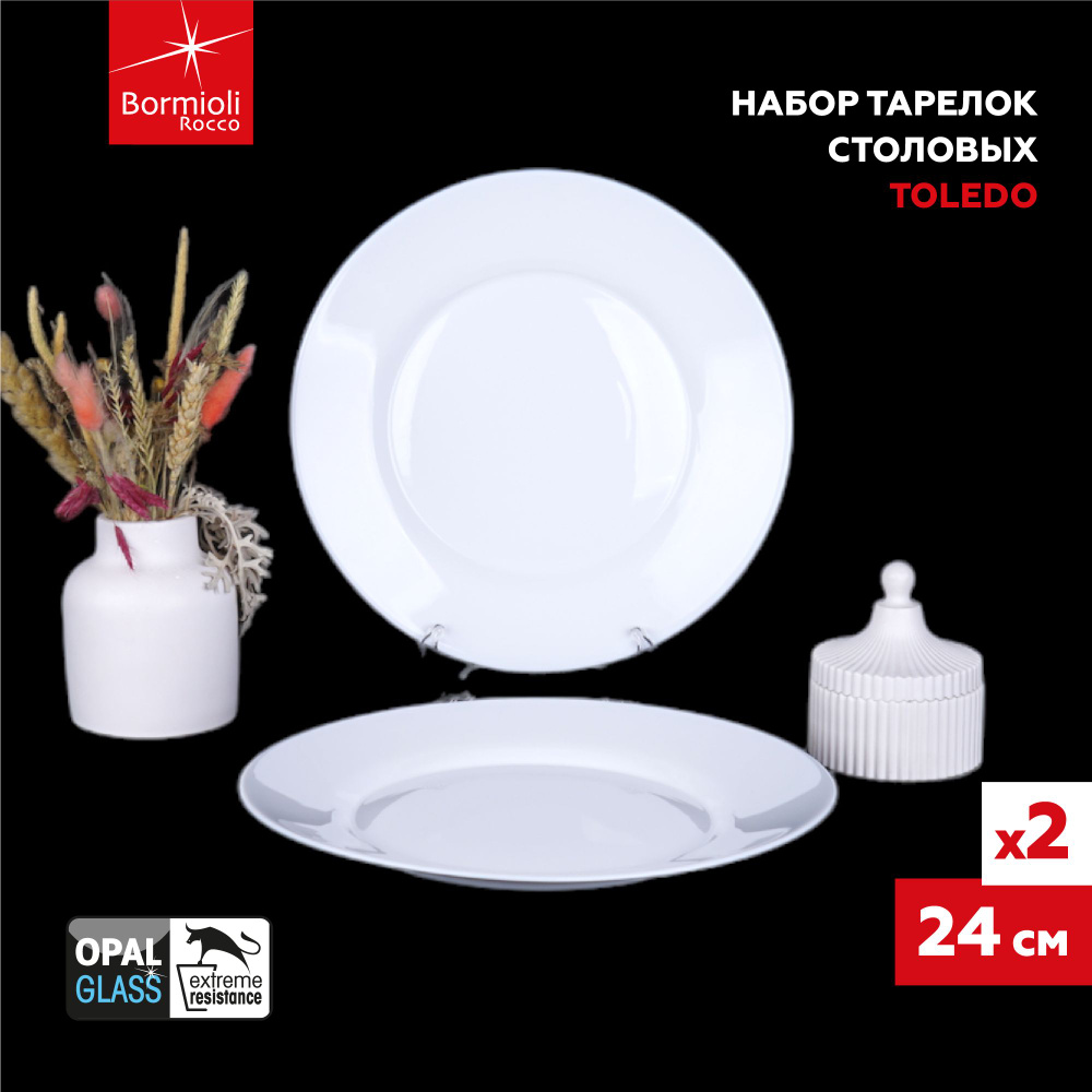 Тарелка подстановочная TOLEDO DINNER Bormioli Rocco, 24 см, 2 шт #1