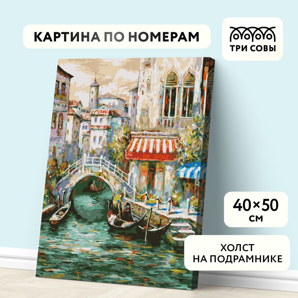 Картина по номерам на холсте на подрамнике 40х50 / ТРИ СОВЫ "Венецианский канал" / раскраска для детей #1