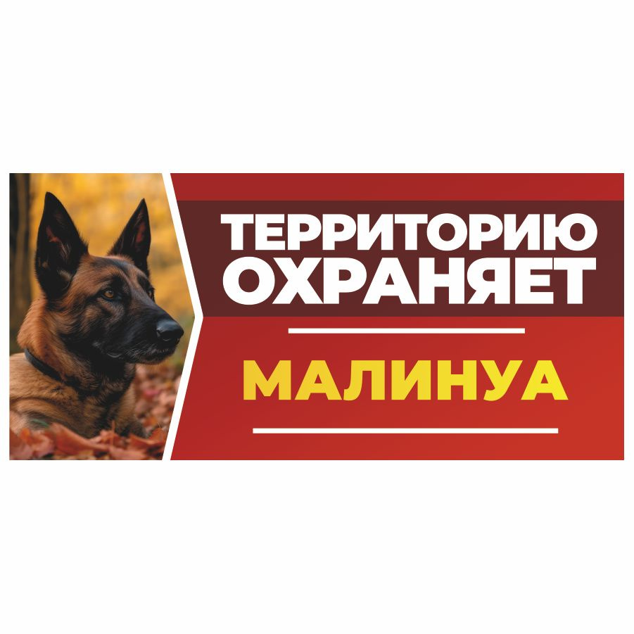 Табличка, DANGER DOG, Малинуа, на забор, 30см х 14см #1