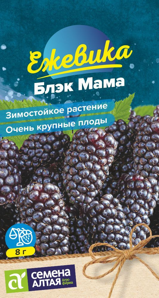 Ежевика Блэк Мама, 1 пакет, семена 0,3 гр, Семена Алтая #1