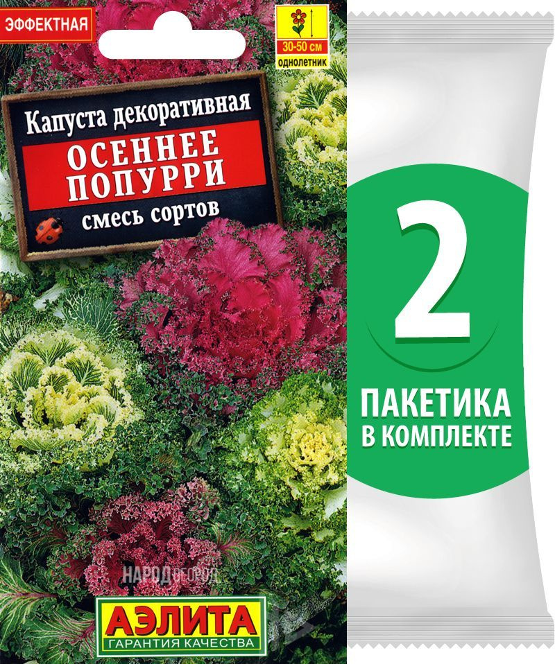 Семена Капуста декоративная Осеннее Попурри смесь сортов, 2 пакетика по 0,1г/40шт  #1