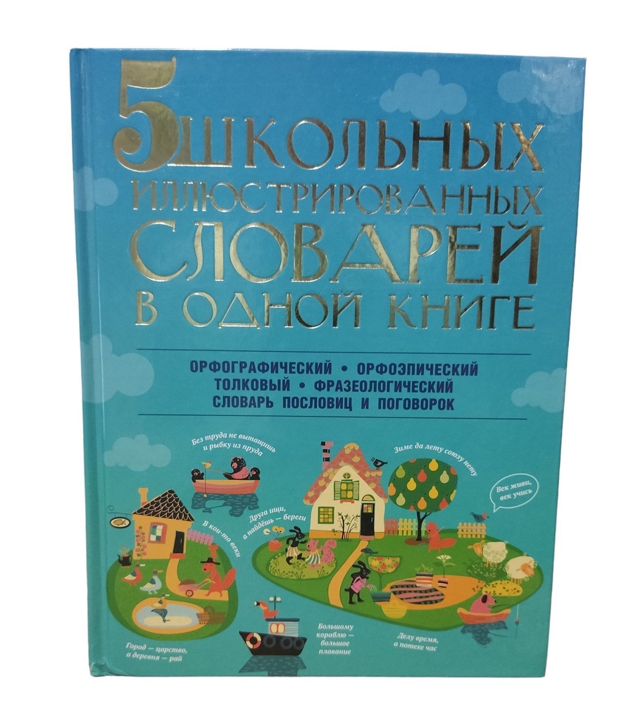 5 школьных иллюстрированных словарей в одной книге #1