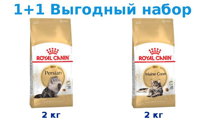 Сухой корм Взрослые, Royal Canin Breed cat Persian 2 кг + Взрослые, Royal Canin Breed cat Maine Coon #1