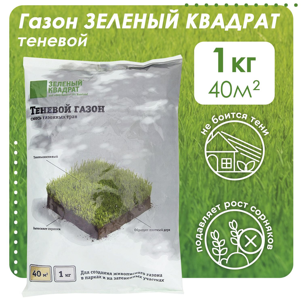 Семена газона для парков и на затененных участках Зеленый Квадрат "Теневой", 1 кг  #1