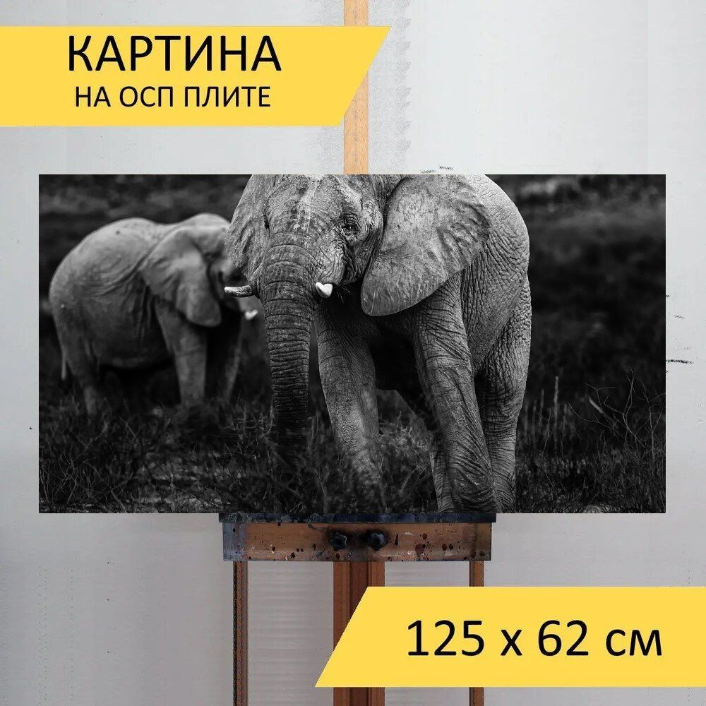 LotsPrints Картина "Слон, сафари, монохромный 19", 125  х 62 см #1