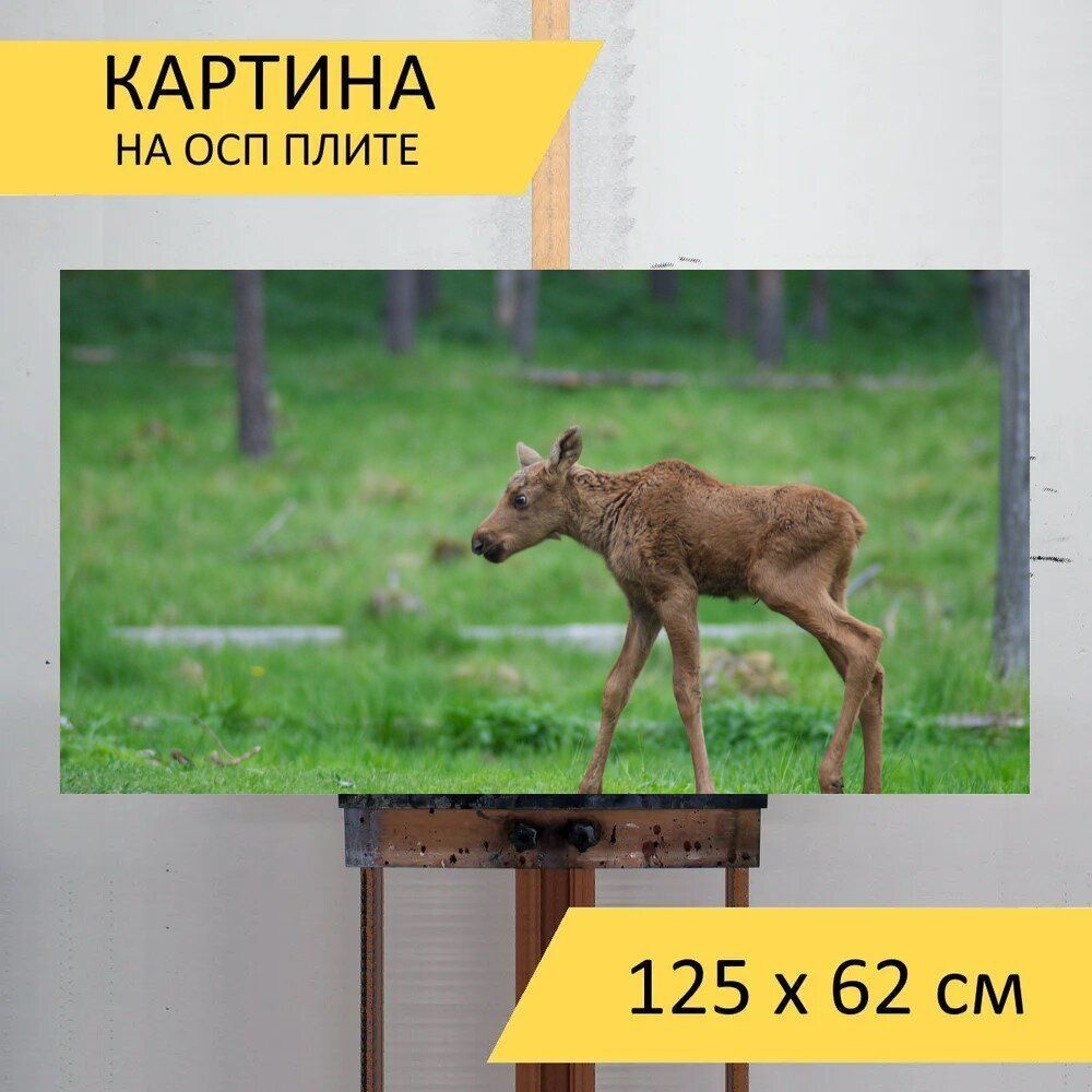 LotsPrints Картина "Лось, телец, зоопарк 41", 125  х 62 см #1