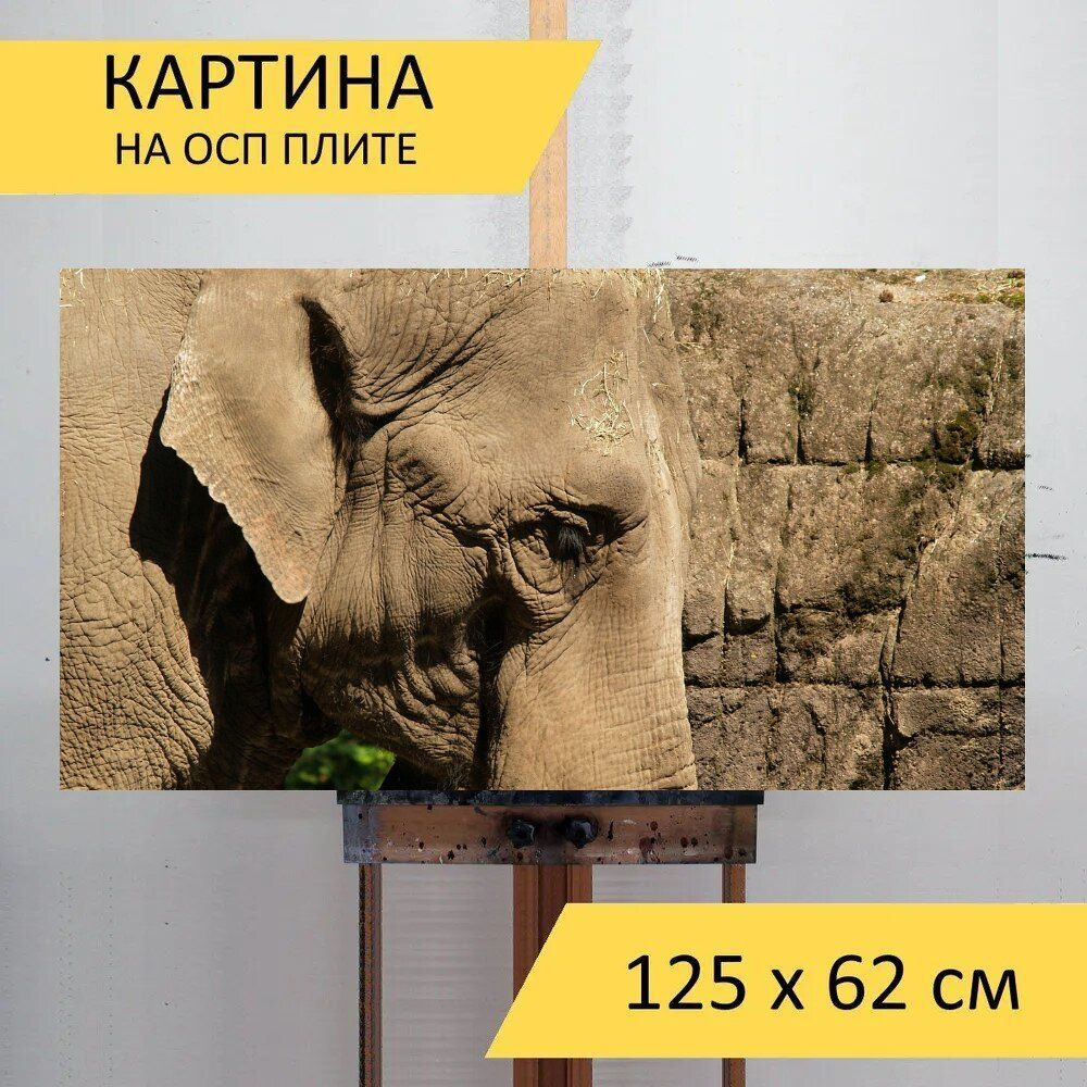 LotsPrints Картина "Слон, индийский слон, толстокожий 25", 125 х 62 см  #1
