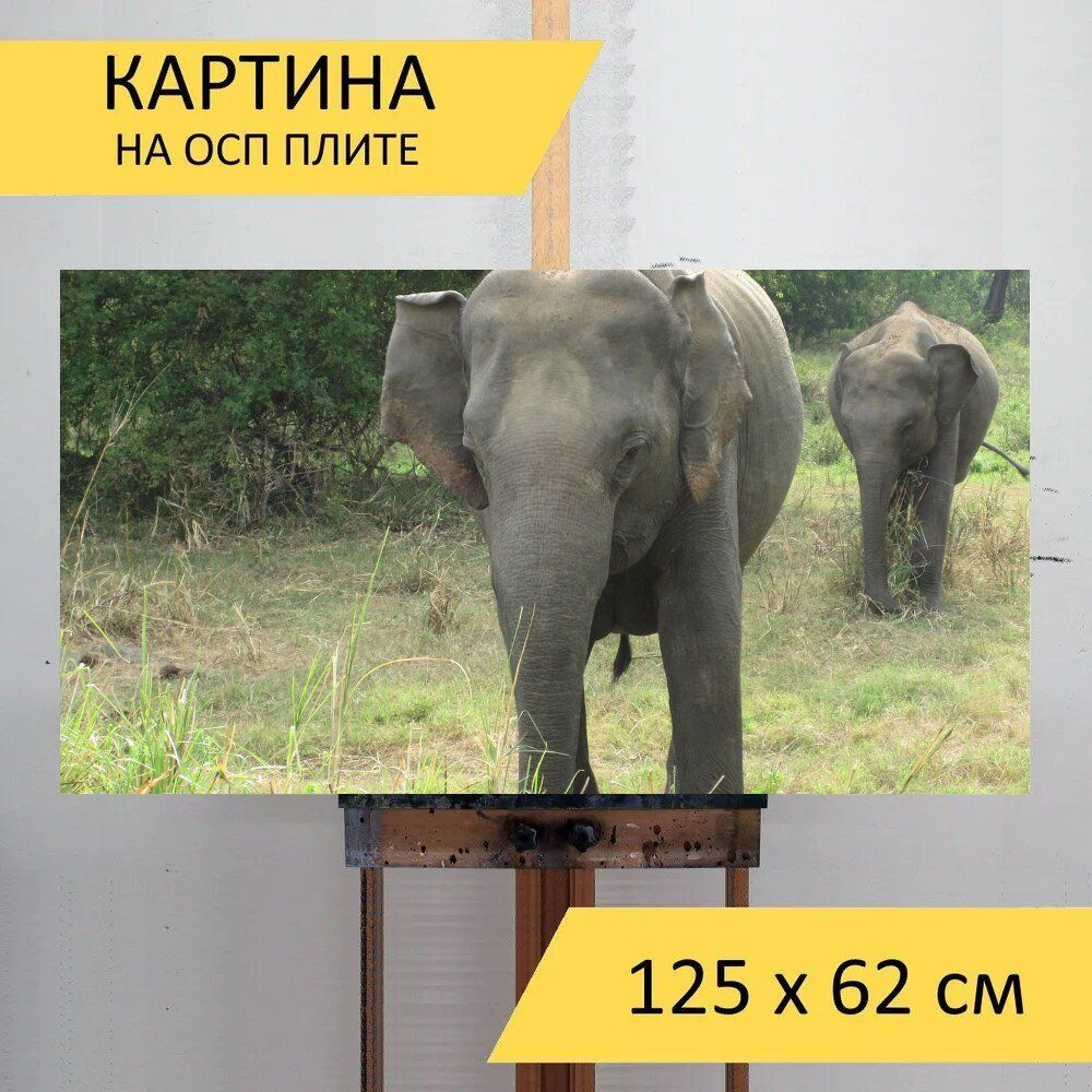 LotsPrints Картина "Слон, животные, природа 01", 125  х 62 см #1