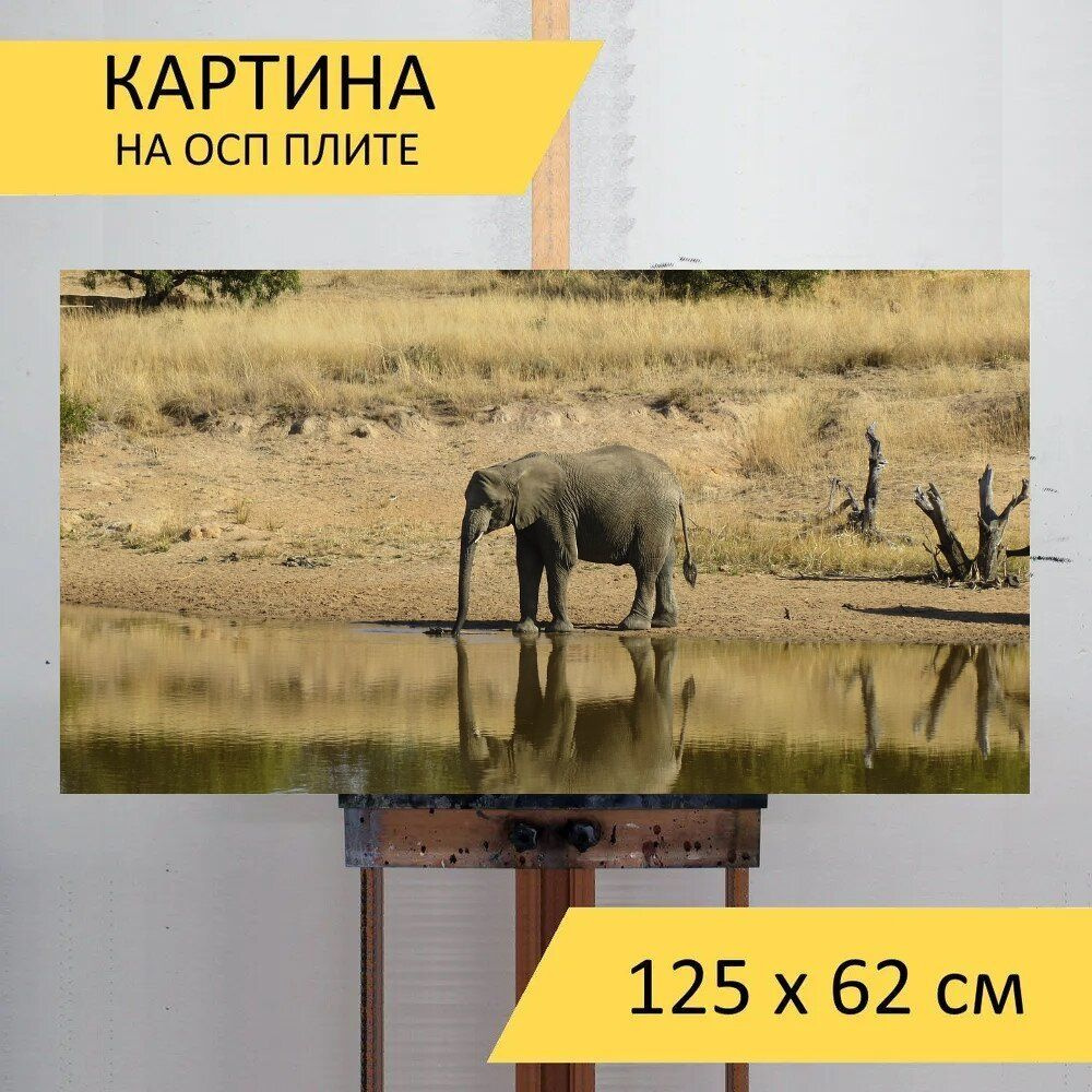 LotsPrints Картина "Слон, животное, дикий 93", 125  х 62 см #1