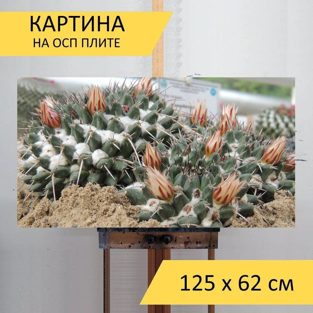 LotsPrints Картина "Кактус, цветок, шипы 93", 125  х 62 см #1