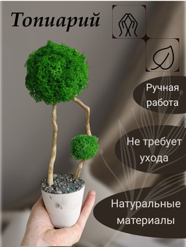 Купить Искусственное топиари 