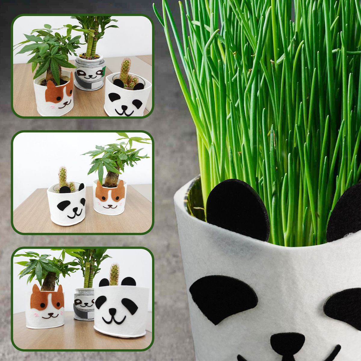 Горшки из войлока в современном интерьере