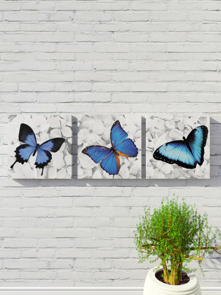 Картины с бабочками