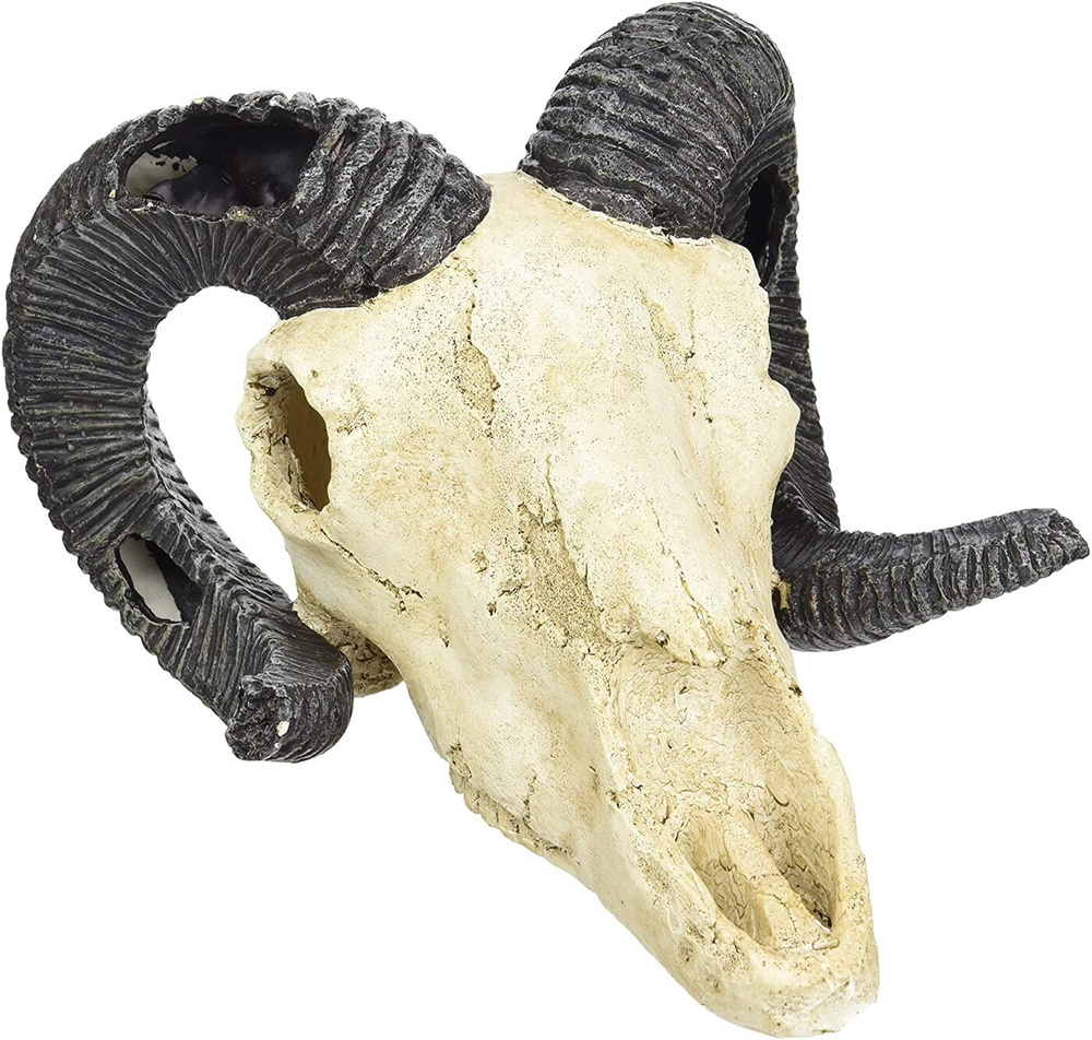 Декорация для террариума, череп LUCKY REPTILE "Skull Ram", 19.5х7х12см (Германия)  #1