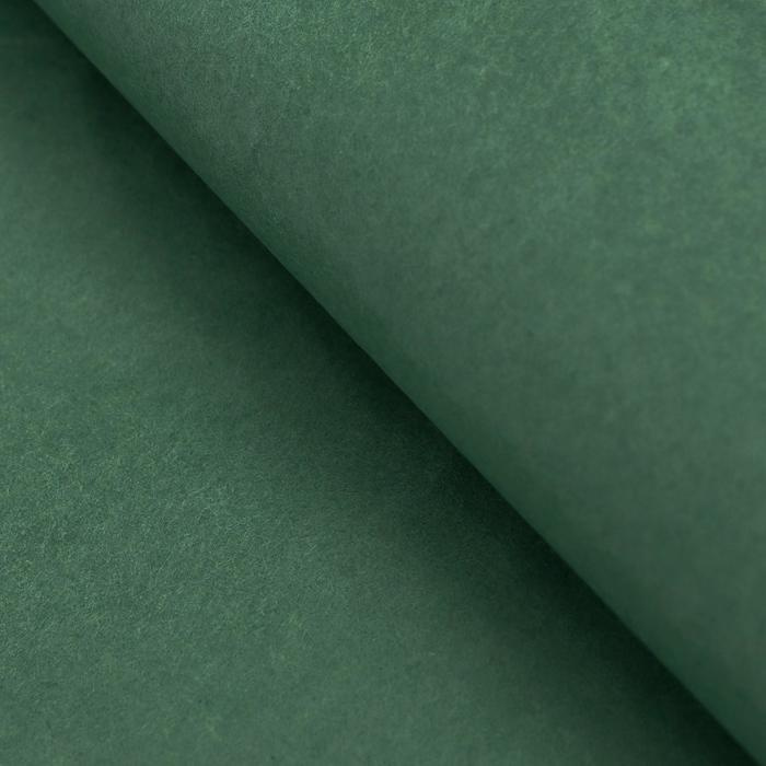 Бумага упаковочная тишью, темно-зелёная, 50 х 66 см #1