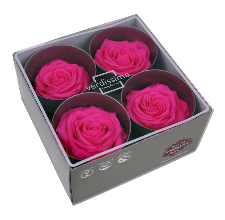 Бутоны розы стабилизированные "Фуксия" 4шт, выс 6.0см., диам 6.5-8.0см /для хобби и творчества/флористов/декора #1