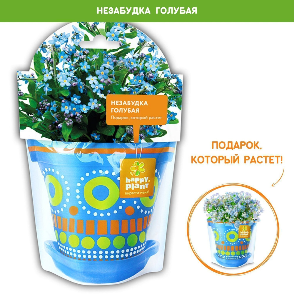 Набор для выращивания Happy Plant, Незабудки, Однолетник купить по выгодной  цене в интернет-магазине OZON (245127505)