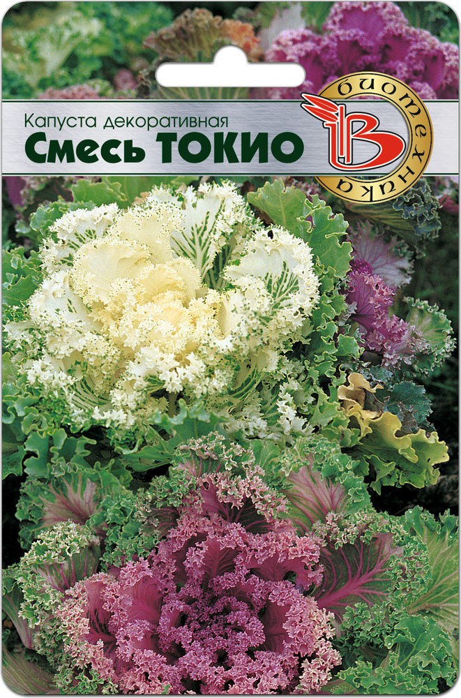 Капуста декоративная Токио (семена БИОТЕХНИКА, 50 шт.) #1