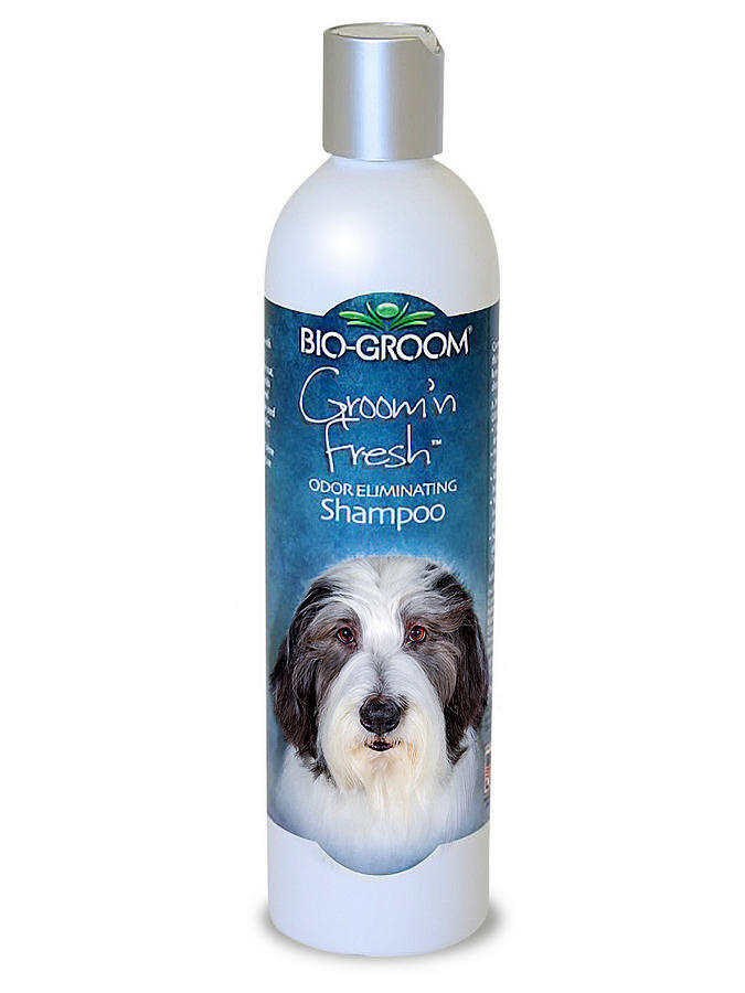 Bio-Groom Groom 'n Fresh Shampoo дезодорирующий шампунь, без сульфатов, для контроля запаха, концентрат #1