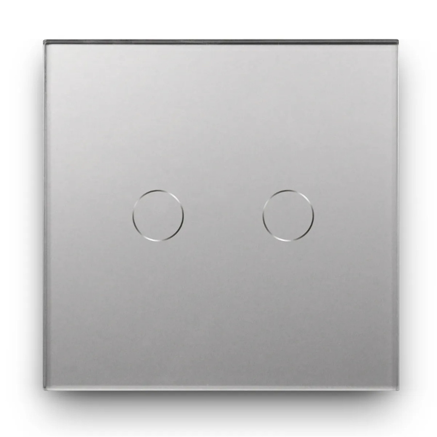 Умный сенсорный выключатель DiXiS Wi-Fi Touch Wall Light Switch (Tuya) 2 Gang / 1 Way (86x86) Grey (TSW2-T) #1