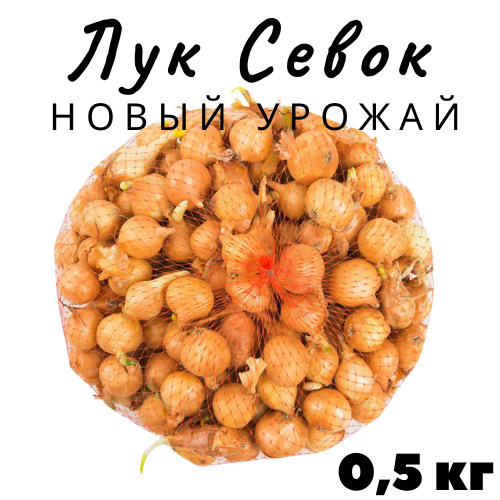 Лук севок 0.5 кг #1