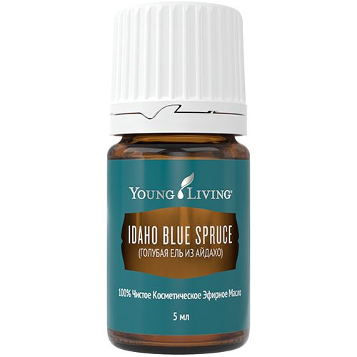Янг Ливинг Эфирное масло Голубая ель/ Young Living Idaho Blue Spruce Oil Blend, 5 мл  #1