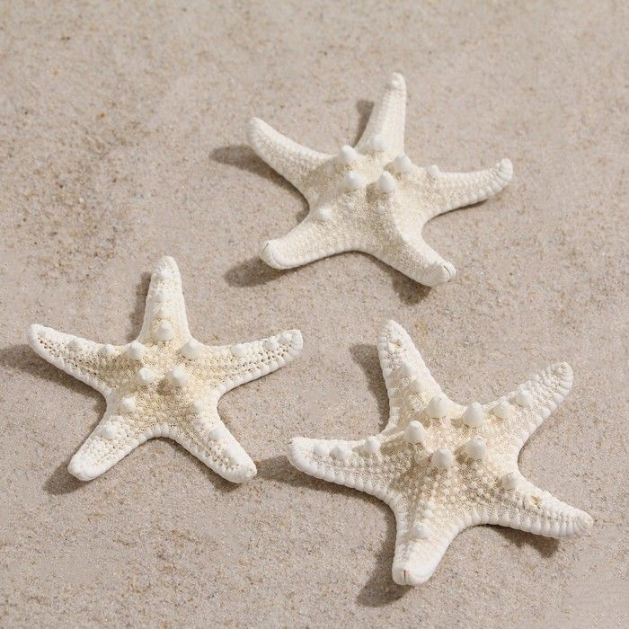 Набор из 3 морских звезд, размер каждой 5-10 см, белые, 1 набор  #1