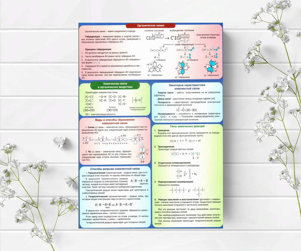 Плакат шпаргалка по химии "Органическая химия. Гибридизация." формат А3  #1