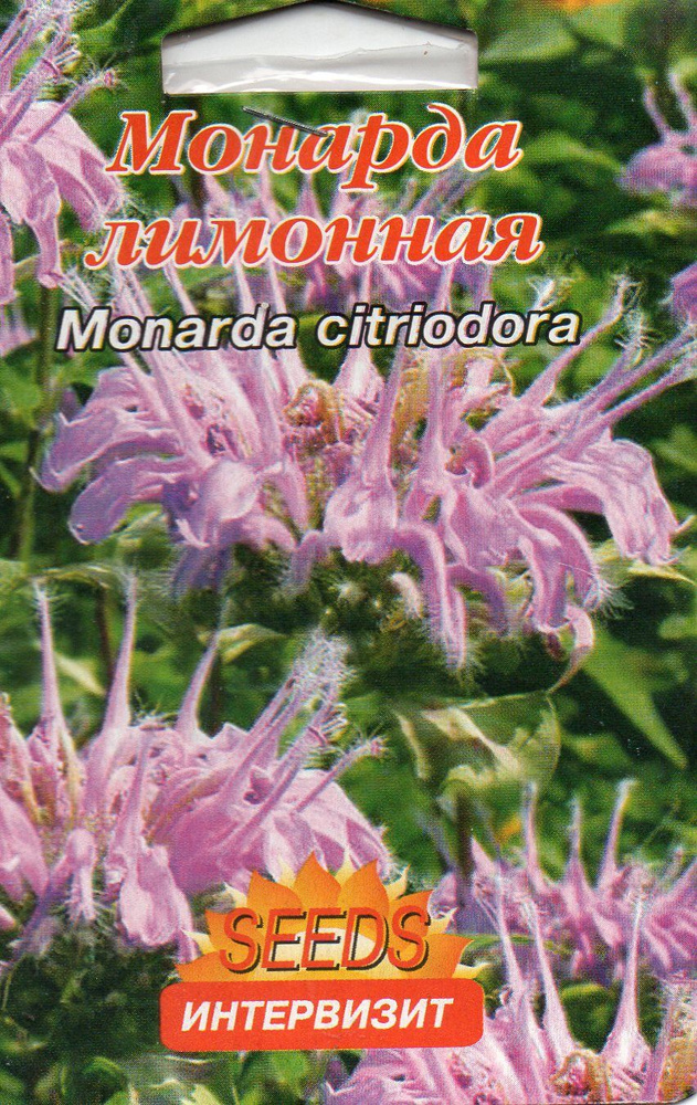 Монарда лимонная (Monarda citriodora)семена #1