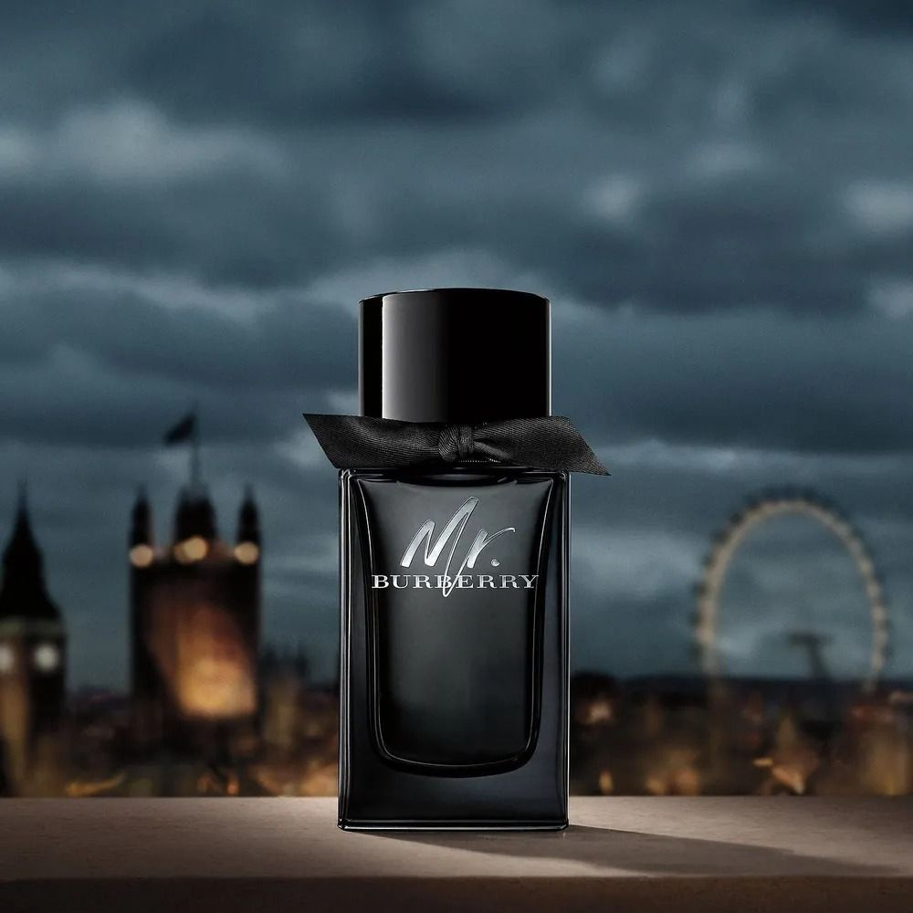 BURBERRY MR. BURBERRY edp m 100ml OZON 877878148